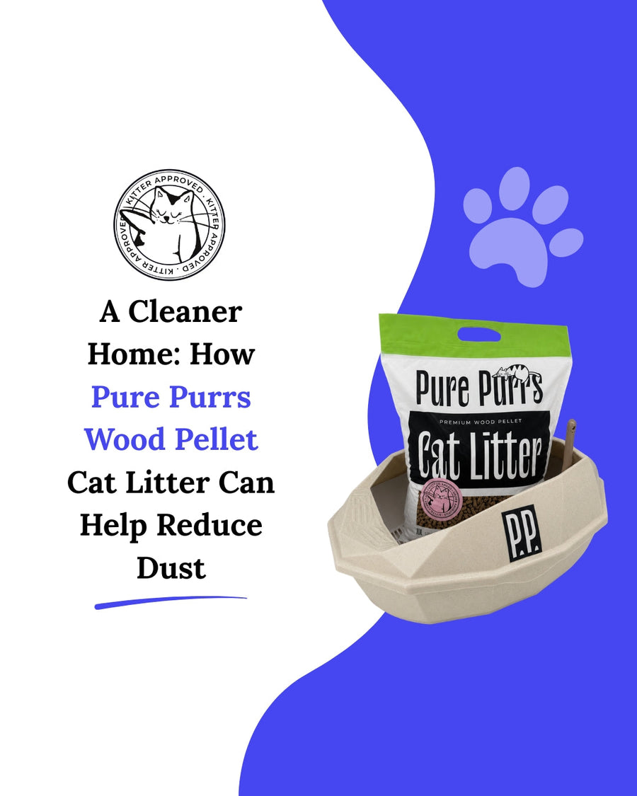 A Cleaner Home: How Pure Purrs Wood Pellet Cat Litter Can Help Reduce Dust