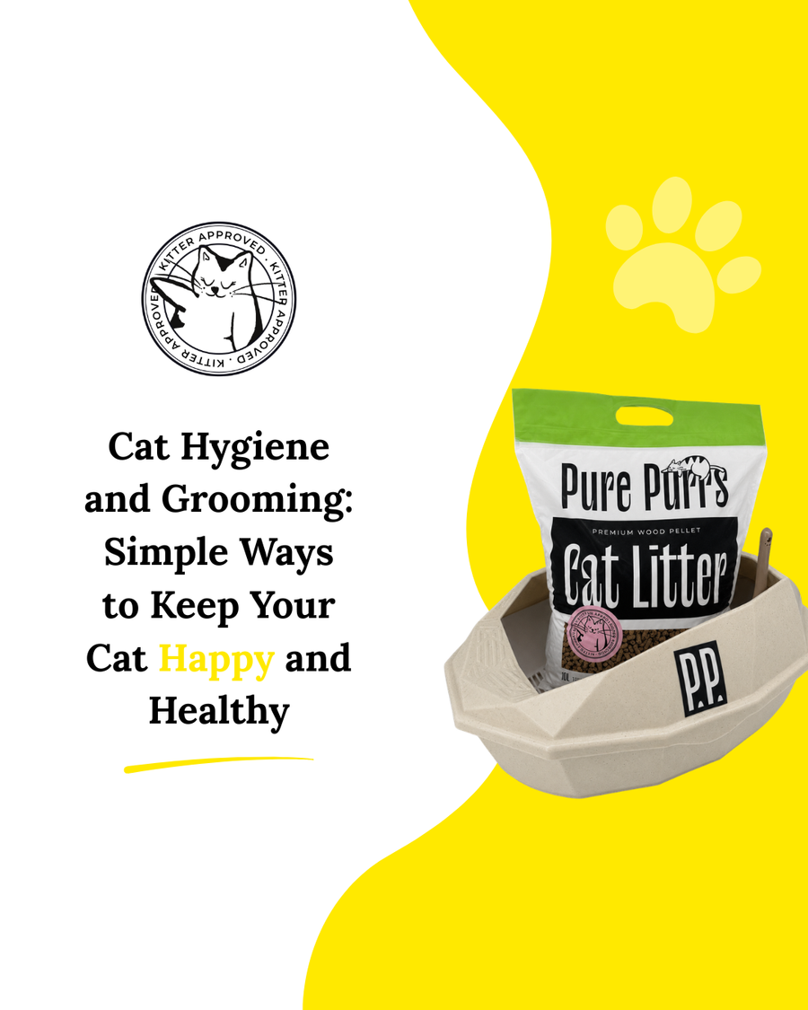 Cat Hygiene and Grooming: Simple Ways to Keep Your Cat Happy and Healthy