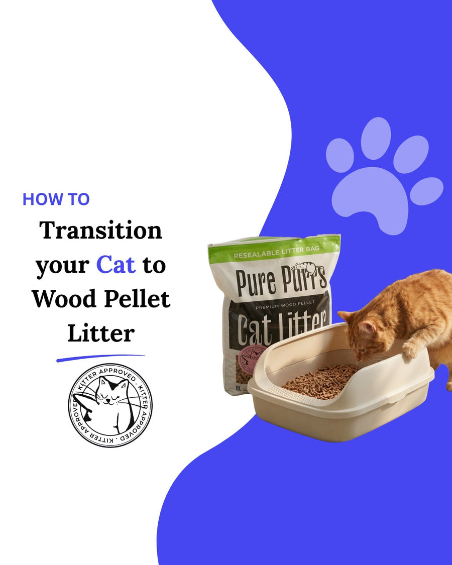 How to Transition Your Cat to Wood Pellet Litter (Step-by-Step Guide)