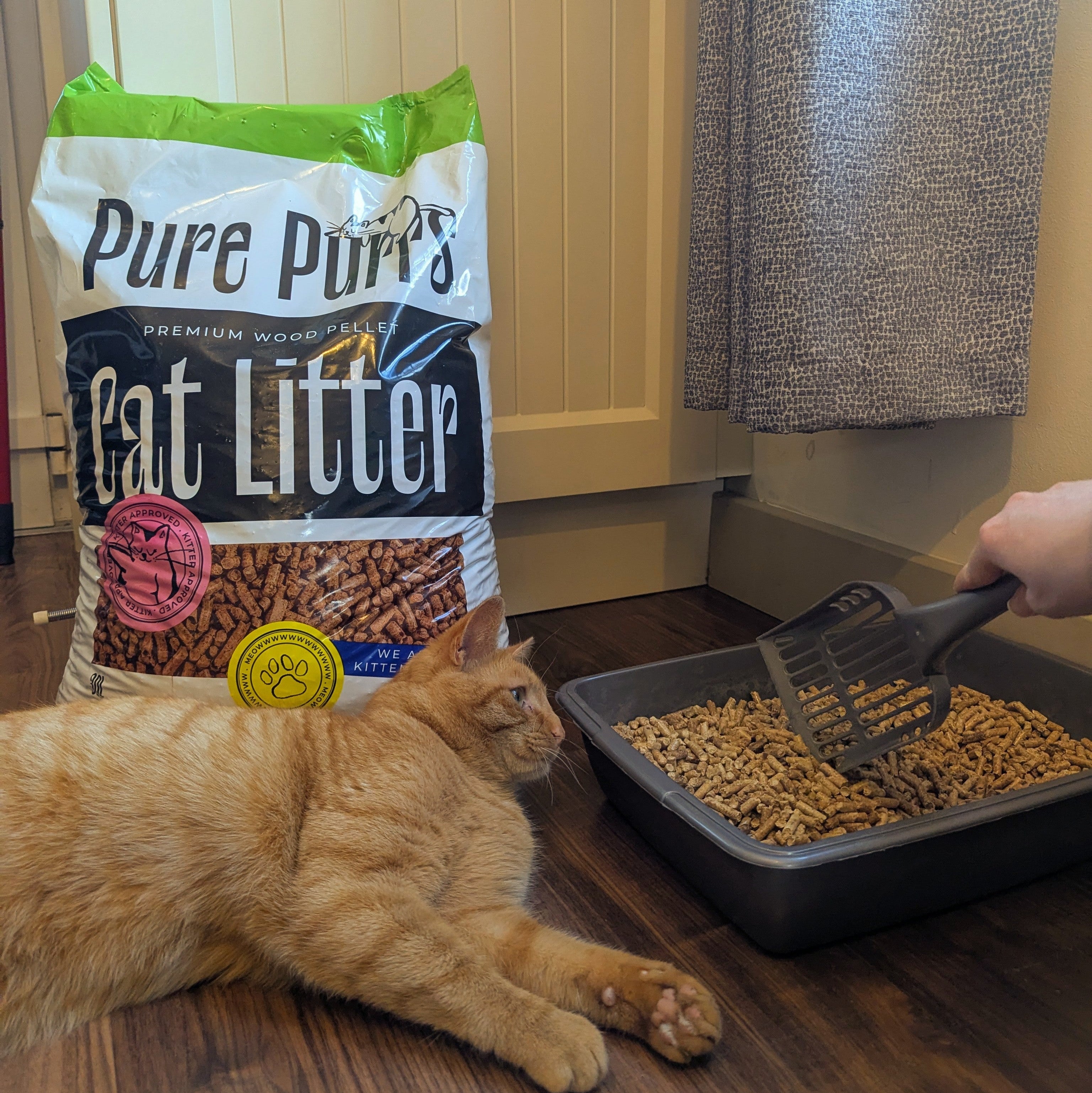 Why Wood Pellet Cat Litter Is Better Than Clay (For You & Your Cat)