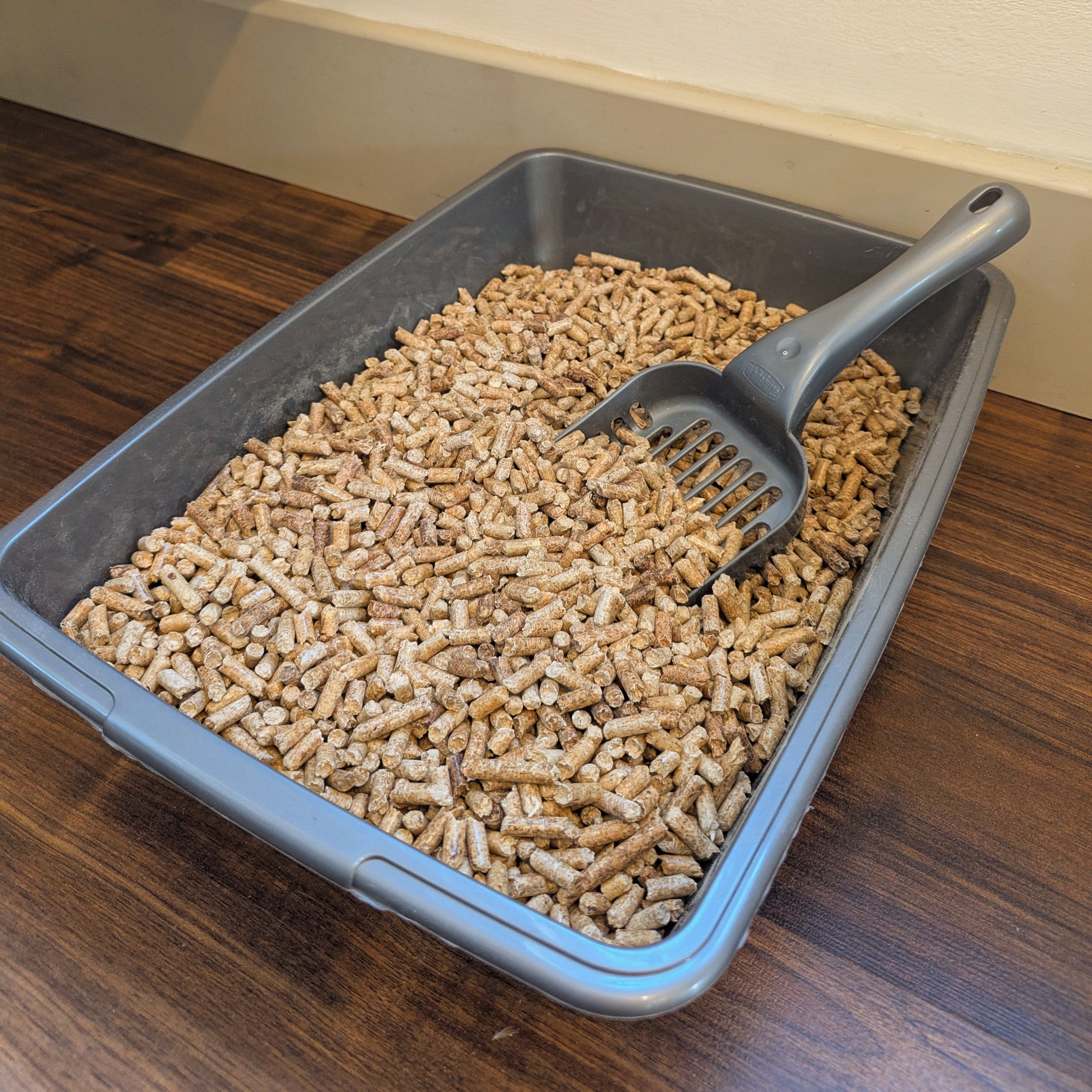 How Often Should You Change Cat Litter? (Complete Guide)