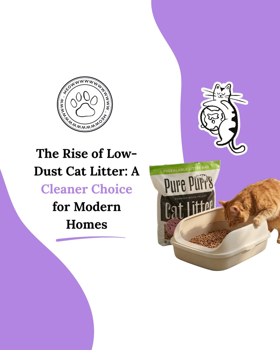 The Rise of Low-Dust Cat Litter: A Cleaner Choice for Modern Homes