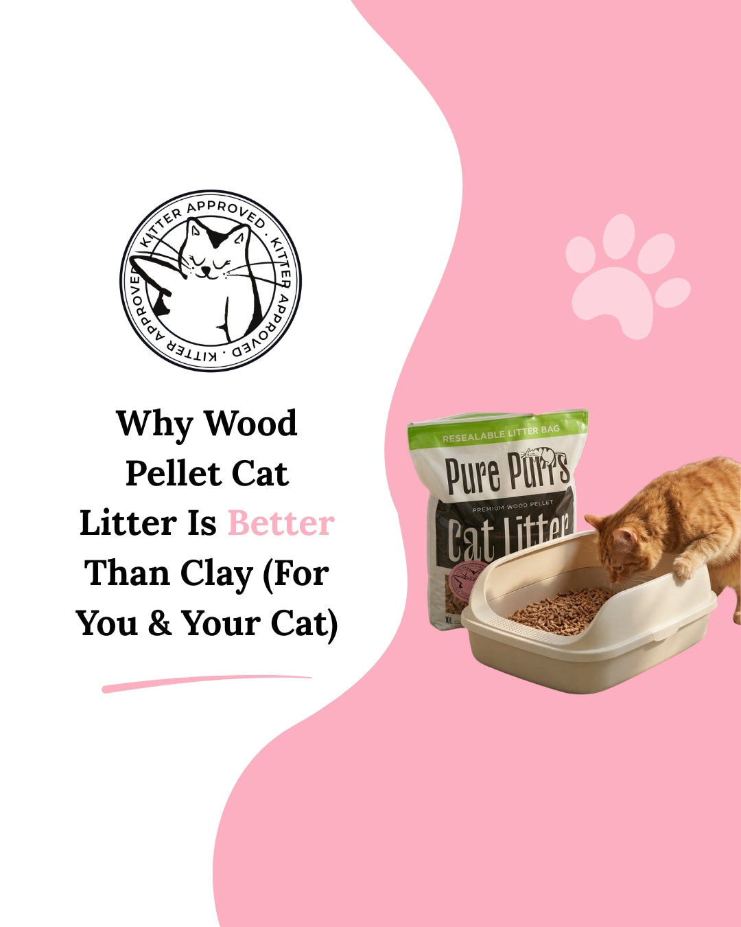 Why Wood Pellet Cat Litter Is Better Than Clay (For You & Your Cat)