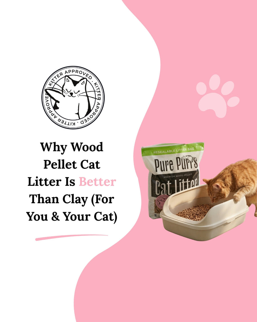 Why Wood Pellet Cat Litter Is Better Than Clay (For You & Your Cat)