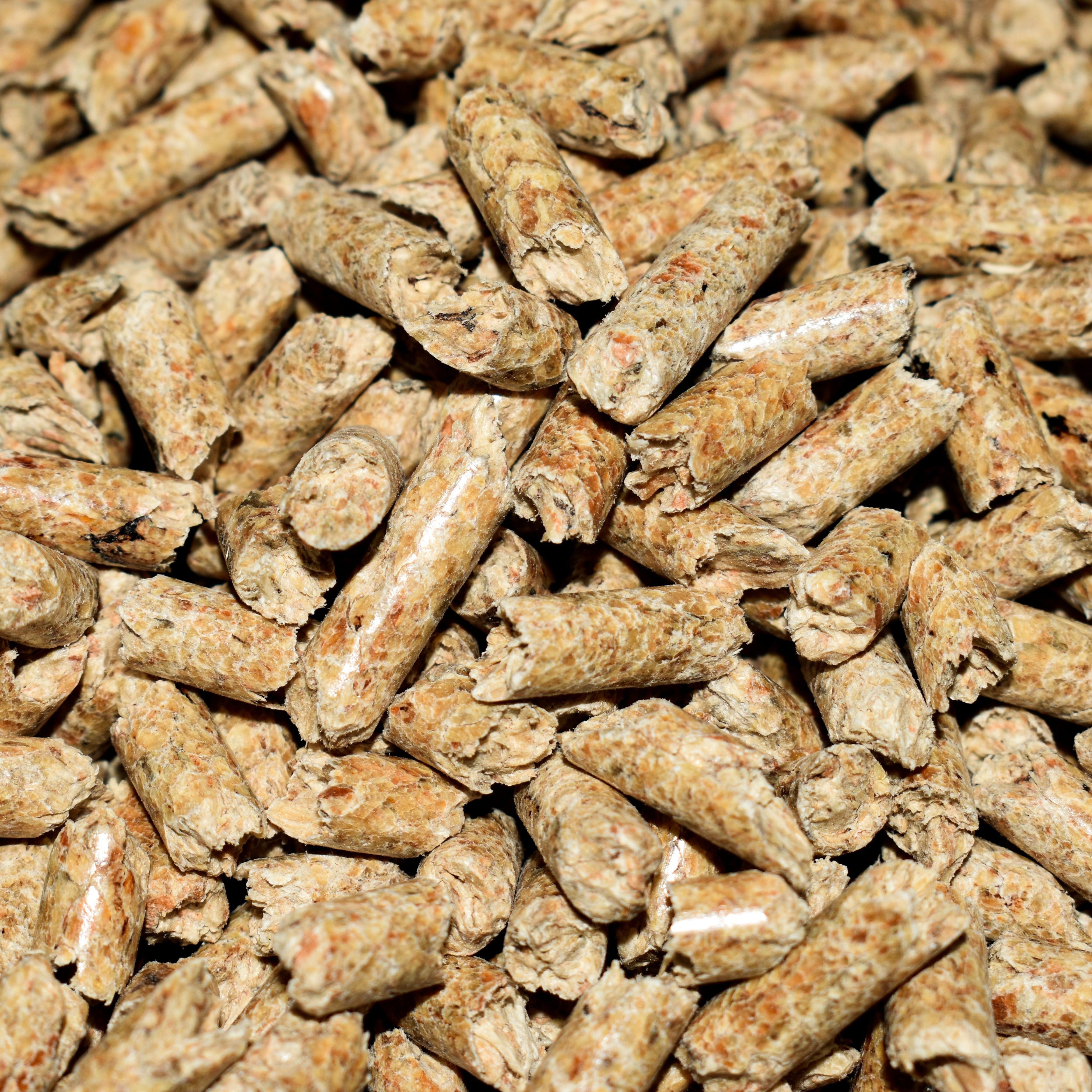 The Rise of Low-Dust Cat Litter: A Cleaner Choice for Modern Homes