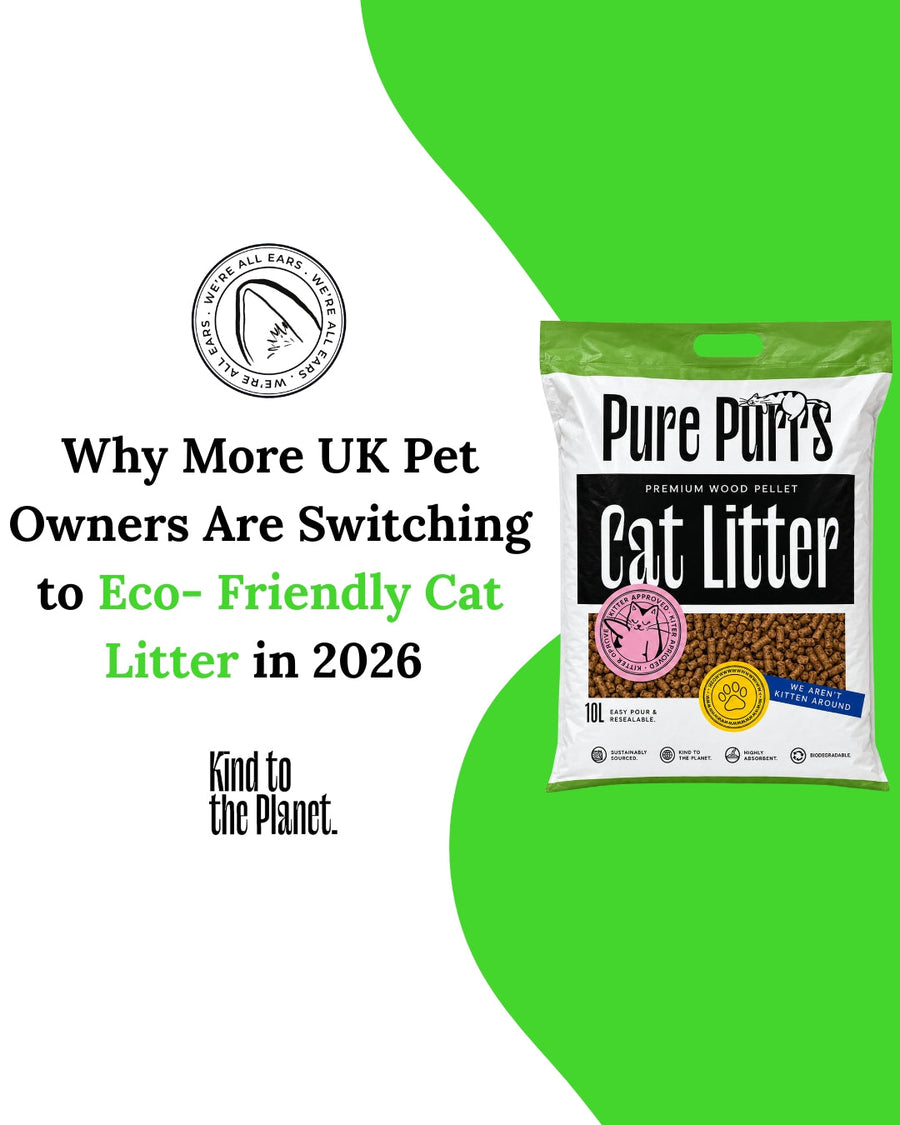 Why More UK Pet Owners Are Switching to Eco-Friendly Cat Litter in 2026