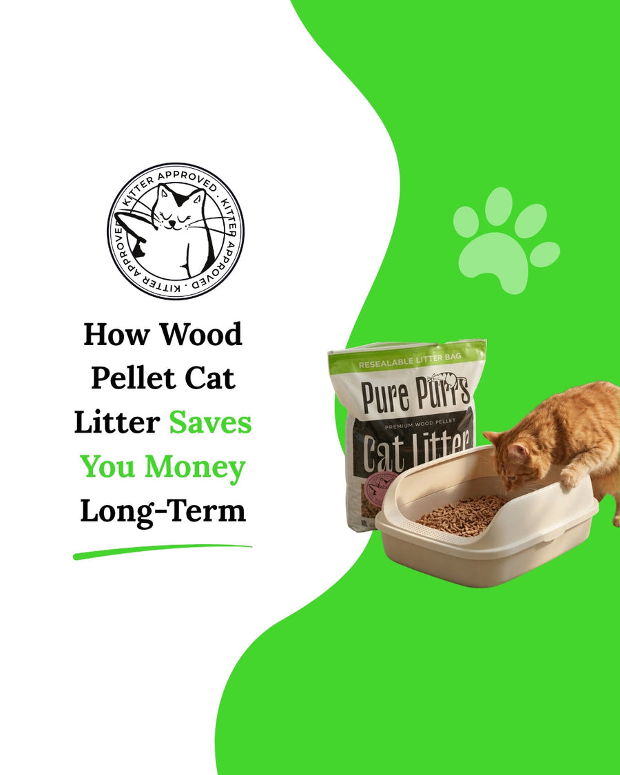 How Wood Pellet Cat Litter Saves You Money Long-Term