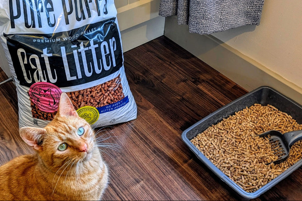 Pure Purrs - Wood Pellet Cat Litter
